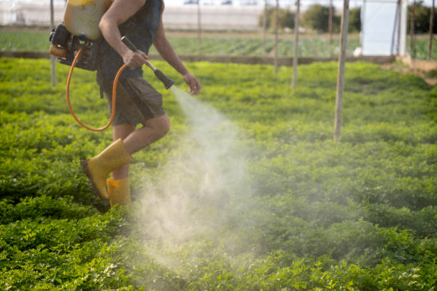 Best Pest Control for Businesses  in Central Islip, NY