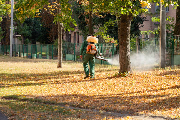 Best Pest Removal Services  in Central Islip, NY