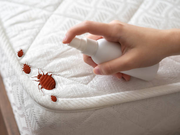 Best Pest Control Near Me  in Central Islip, NY