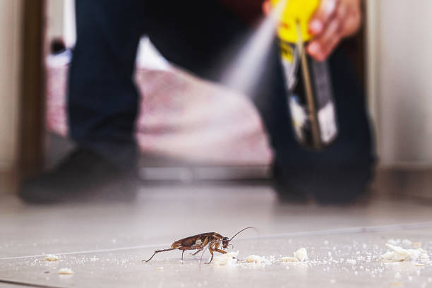 Best Pest Inspection Near Me  in Central Islip, NY