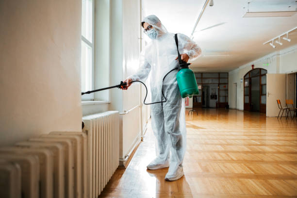 Best Termite Control Services  in Central Islip, NY