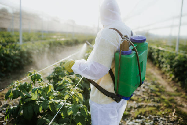 Best Emergency Pest Control  in Central Islip, NY